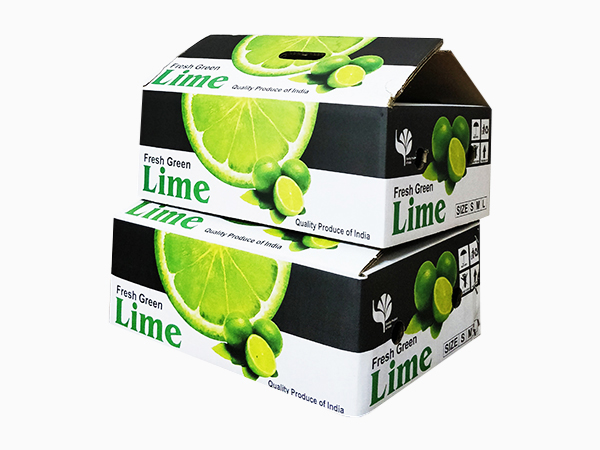 Lemon Packaging Boxes
